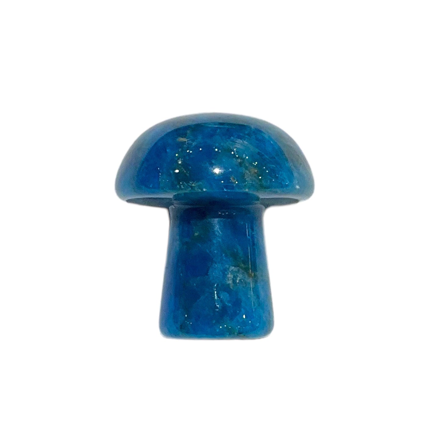 Champignon Apatite bleue à l'unité - Foliesbijoux