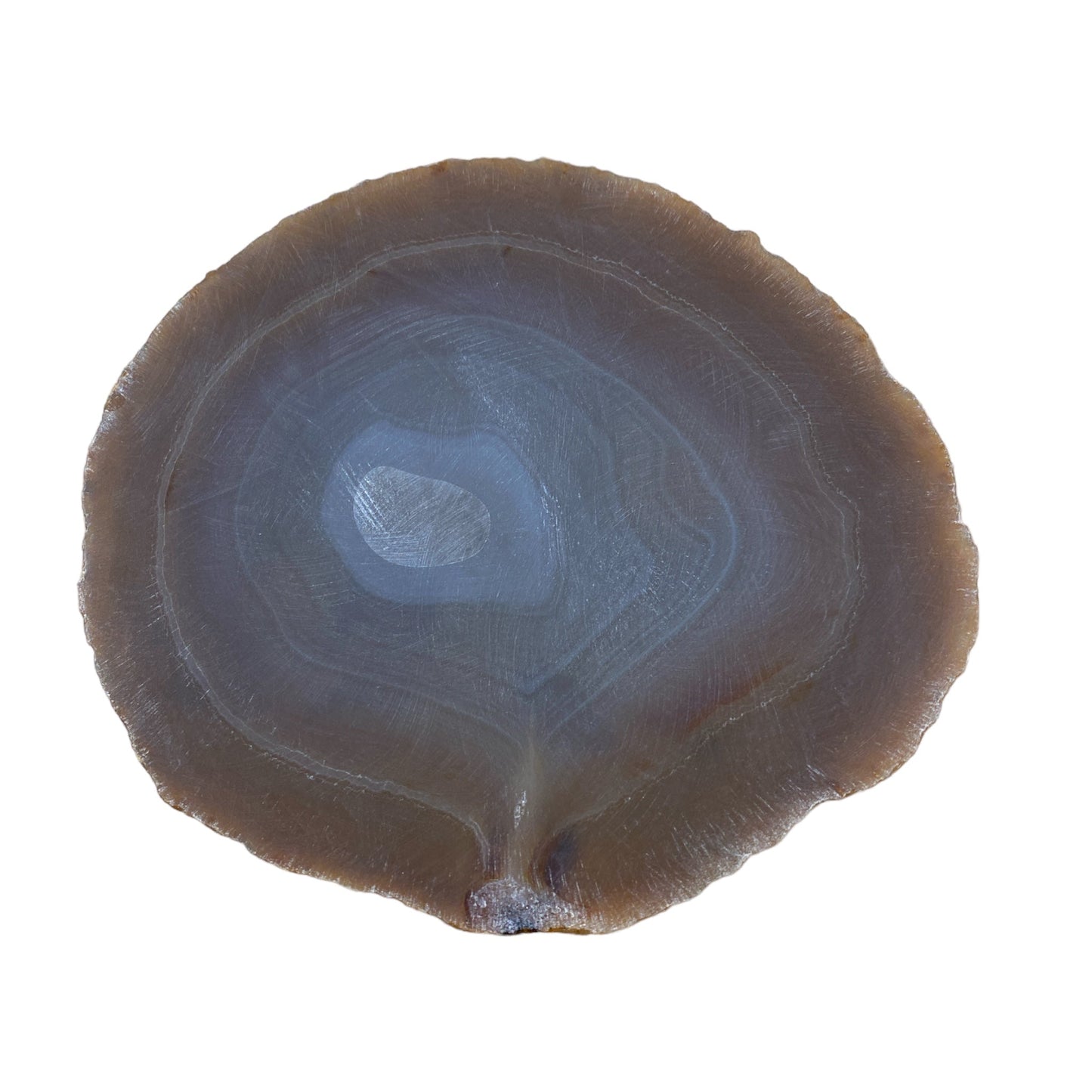 Plaque en Agate Botswana avec imprimé éléphant (peut présenter des défauts) - Foliesbijoux