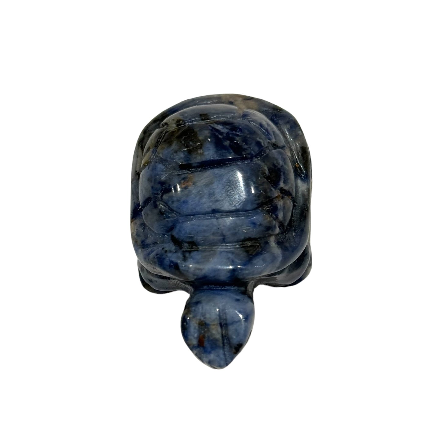 Tortue en Sodalite taille moyenne - Foliesbijoux