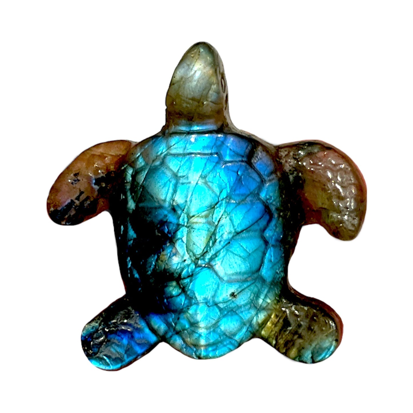 Pendentif plat Labradorite tortue des mers percé devant - Foliesbijoux