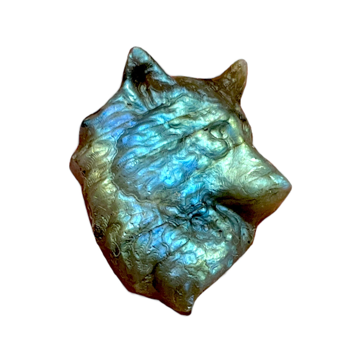 Pendentif plate Labradorite loup pour bélière calotte - Foliesbijoux