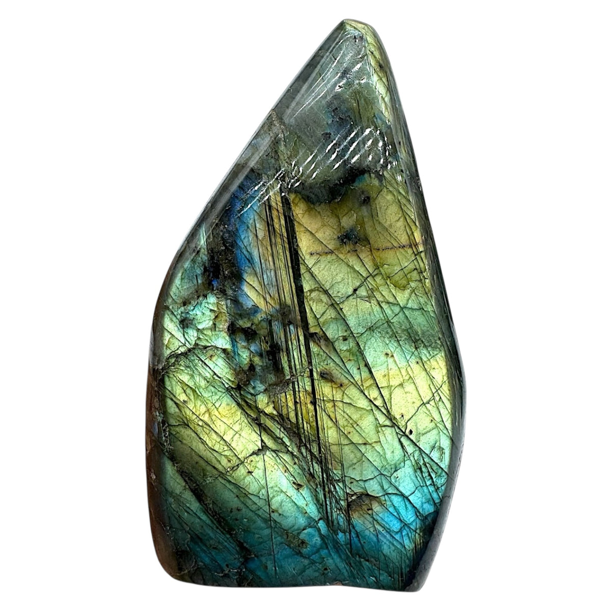 Labradorite forme libre AA+ 647g (Lot 23) - Foliesbijoux