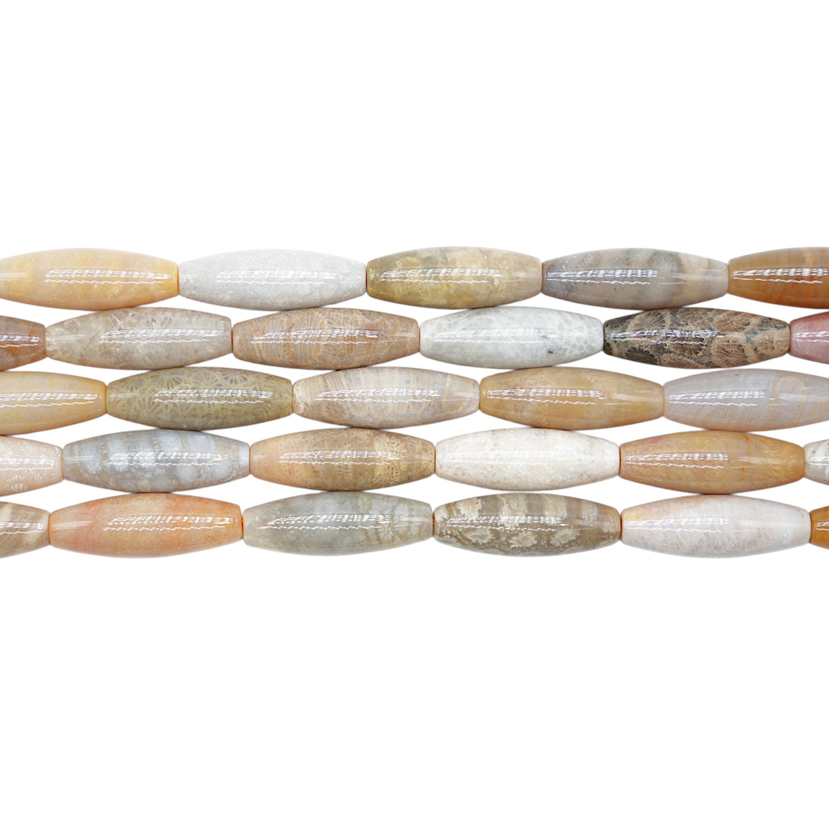 Fil de perles Corail fossilisé forme libre 10x30 mm