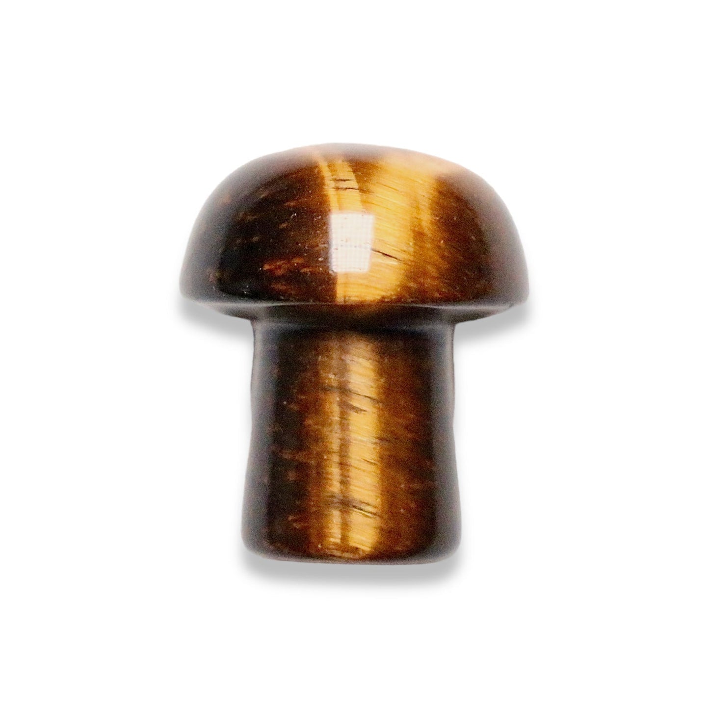 Champignon Oeil de tigre à l'unité - Foliesbijoux