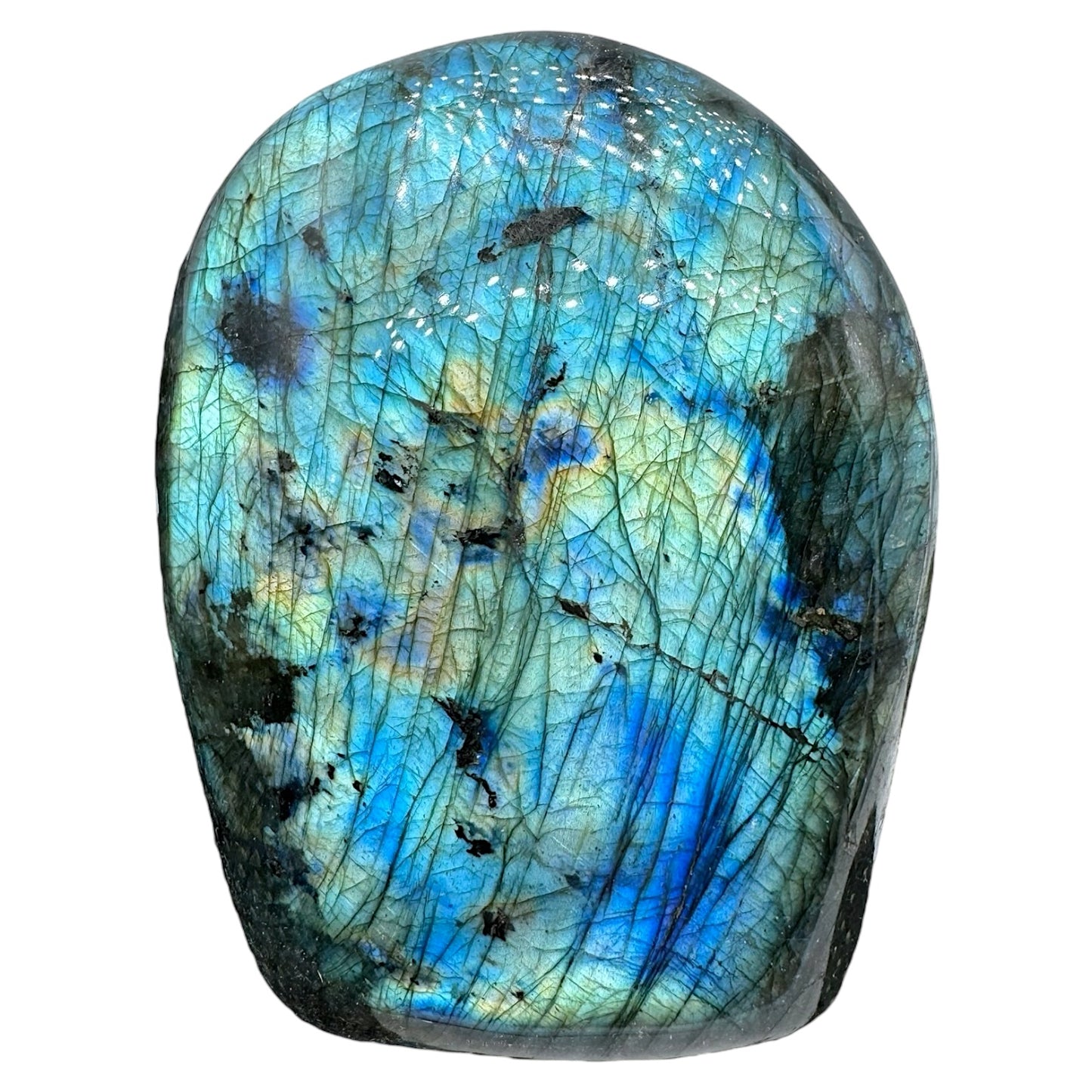 Labradorite flashy forme libre AA+ (Lot 51) 487g 8x3x8.5cm - Foliesbijoux