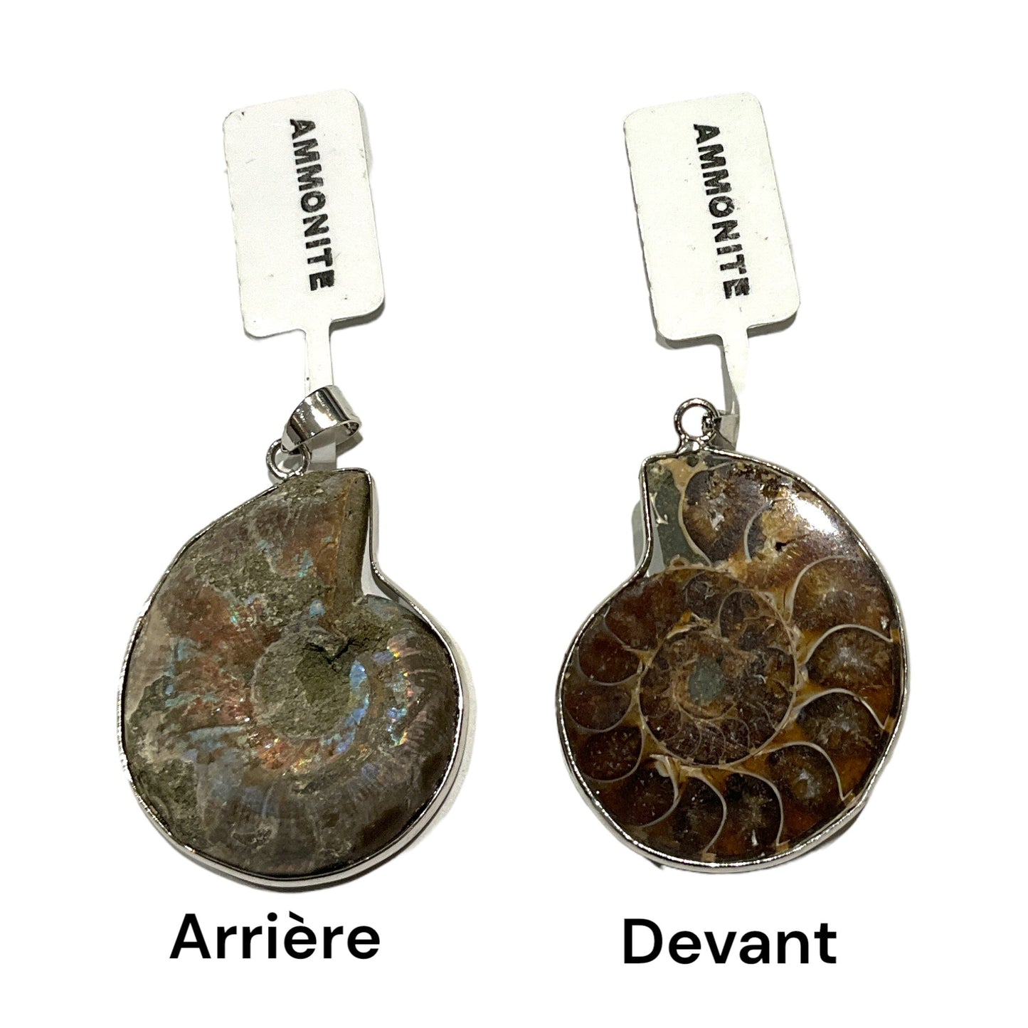 Pendentif en ammonite argenté - Foliesbijoux