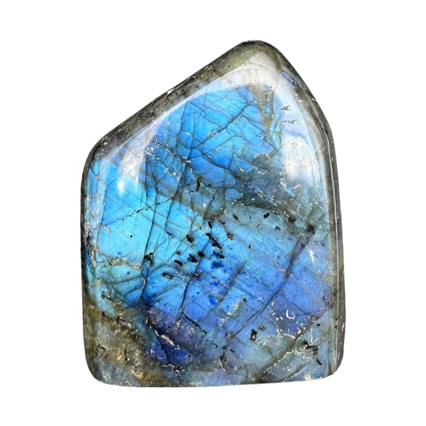 Labradorite flashy forme libre AAA 522g (Lot 7)