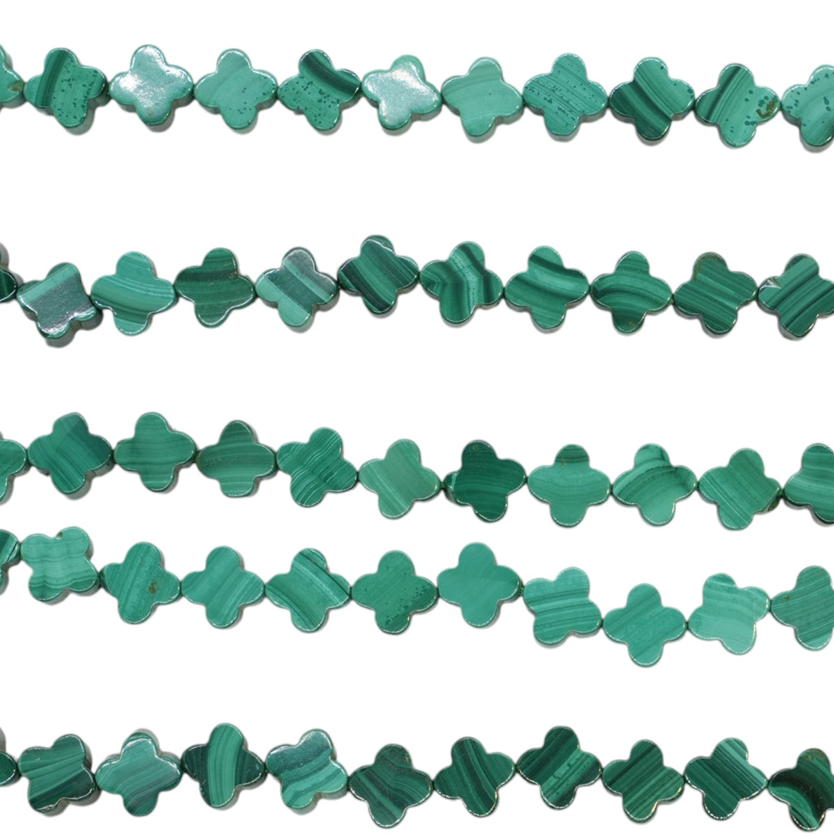 Fil de perles Malachite forme trèfle 5x10mm