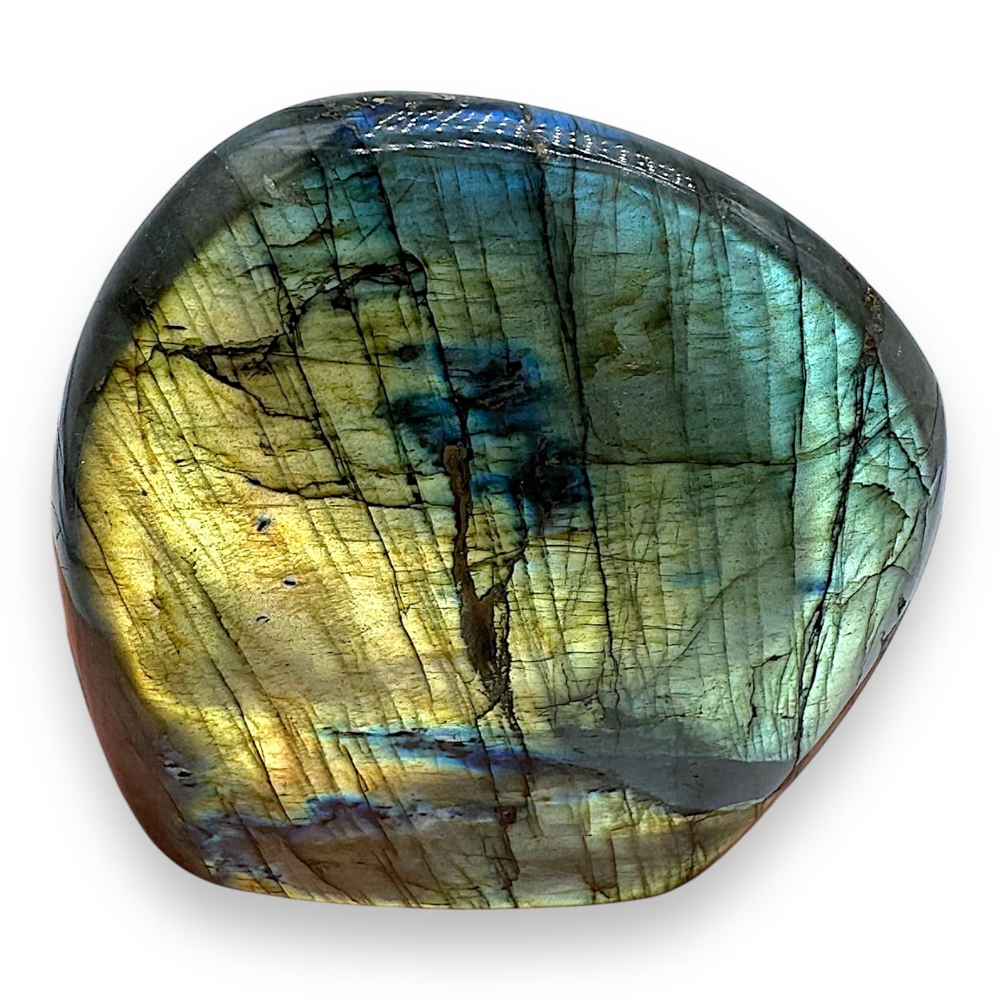 Labradorite forme libre AA+ 831g (Lot 5)