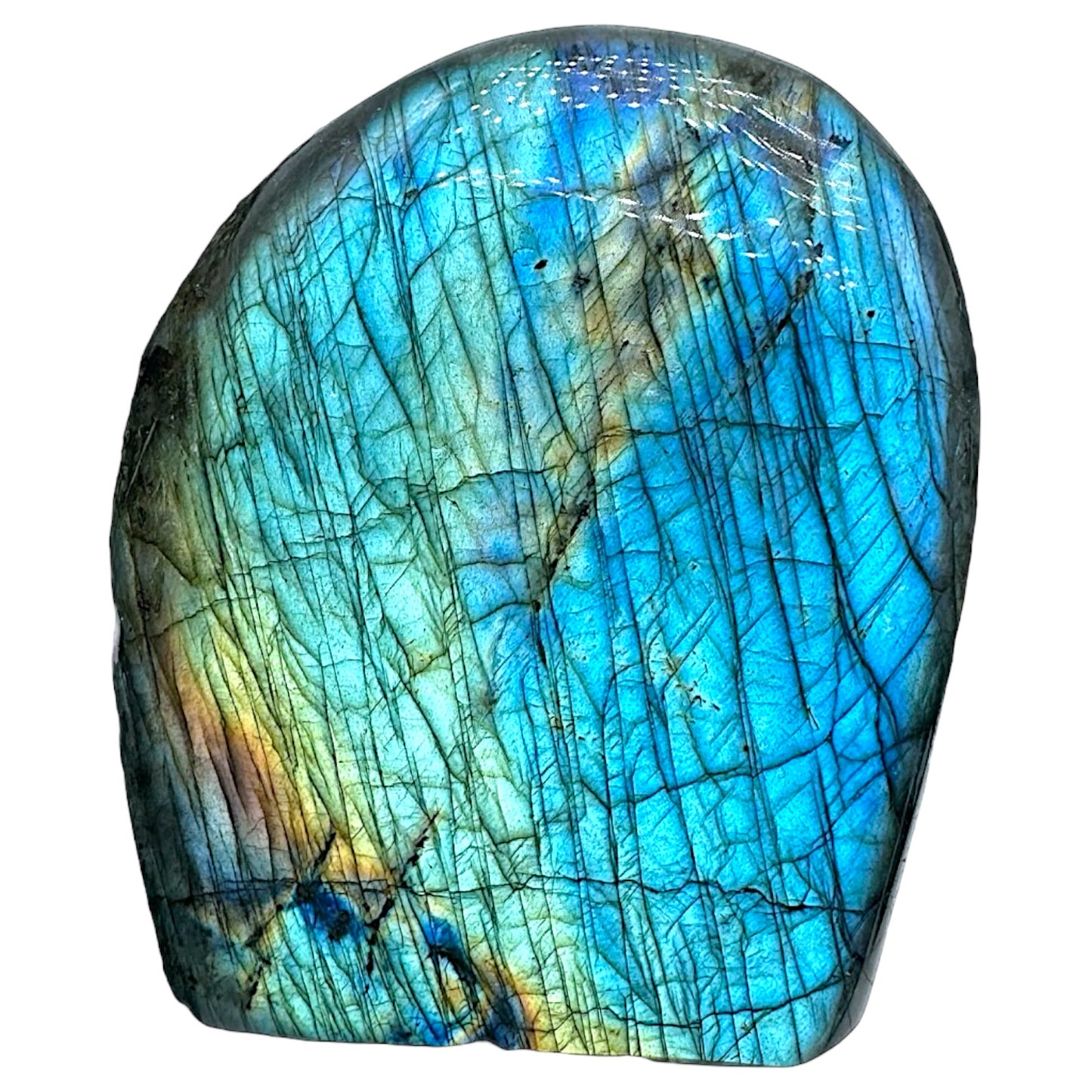 Labradorite forme libre AA+ 349g (Lot 15)