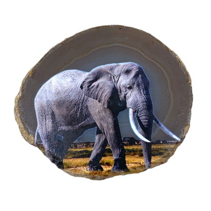 Plaque en Agate Botswana avec imprimé éléphant