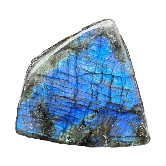 Labradorite flashy forme libre AAA 301g (Lot 13)