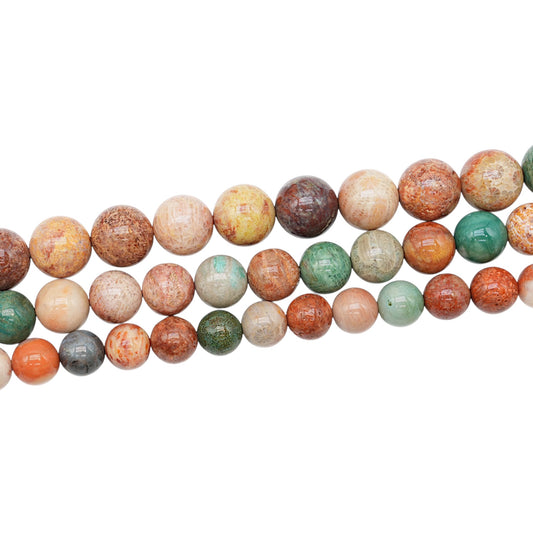 Fil de perles rondes Corail fossilisée multicolore AA