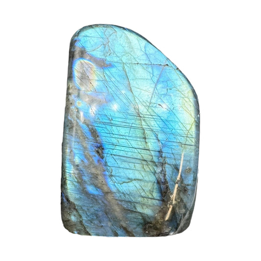 Labradorite flashy forme libre AAA 468g (Lot 9)