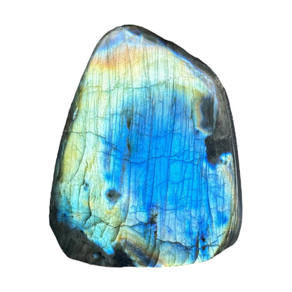 Labradorite flashy forme libre AAA 443g (Lot 17)