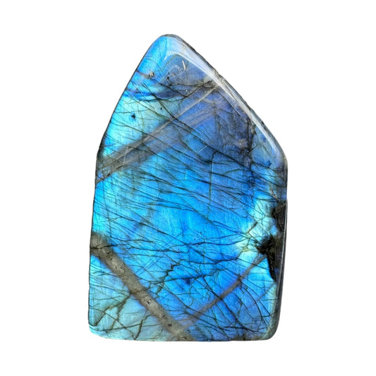 Labradorite flashy forme libre AAA 822g (Lot 11)