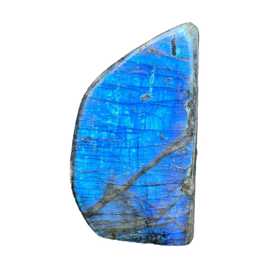 Labradorite flashy forme libre AAA (Lot 30) 815g 12x6x5cm