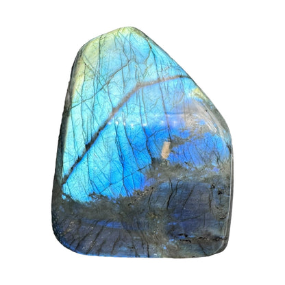 Labradorite flashy forme libre AAA 928g (Lot 10)