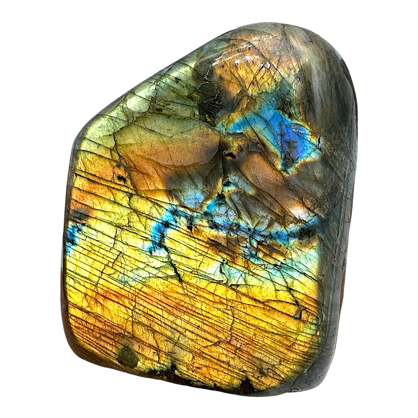 Labradorite forme libre AA+ 455g (Lot 28)