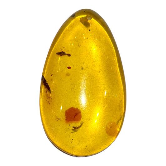 Pendentif ambre forme goutte plate percé devant - Foliesbijoux