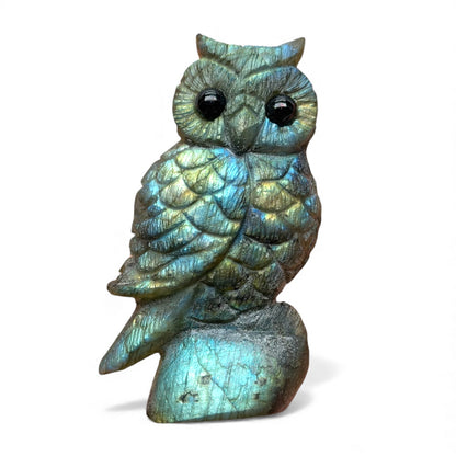Figurine Hibou en Labradorite AA+ 8x4 cm (modèle unique nº19)