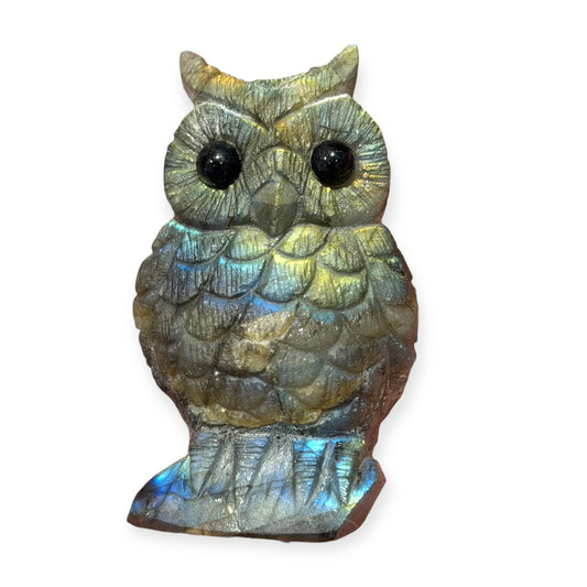 Figurine Hibou en Labradorite AA+ 7x4 cm (modèle unique 1)
