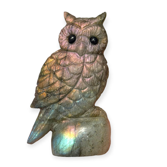 Figurine Hibou en Labradorite bleu rose AA+ 7x4 cm (modèle unique 2)