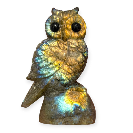 Figurine Hibou en Labradorite AA+ 8x4 cm (modèle unique nº3)