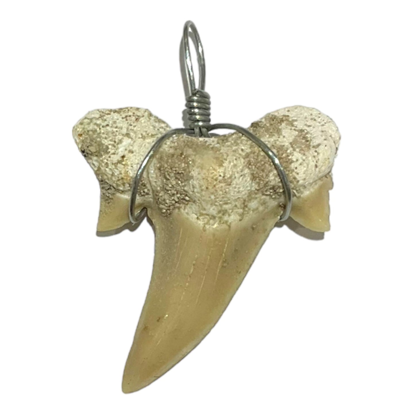 Pendentif dent de requin