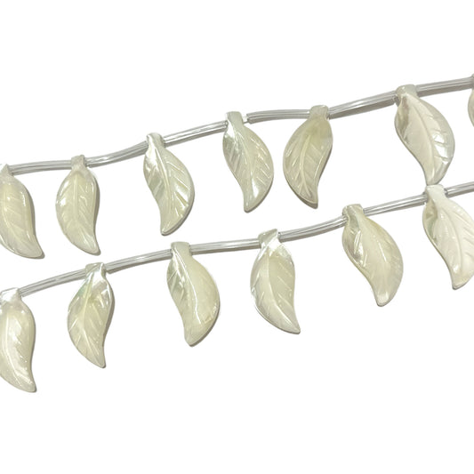 Fil de feuilles en nacre blanche 12 x 30 mm