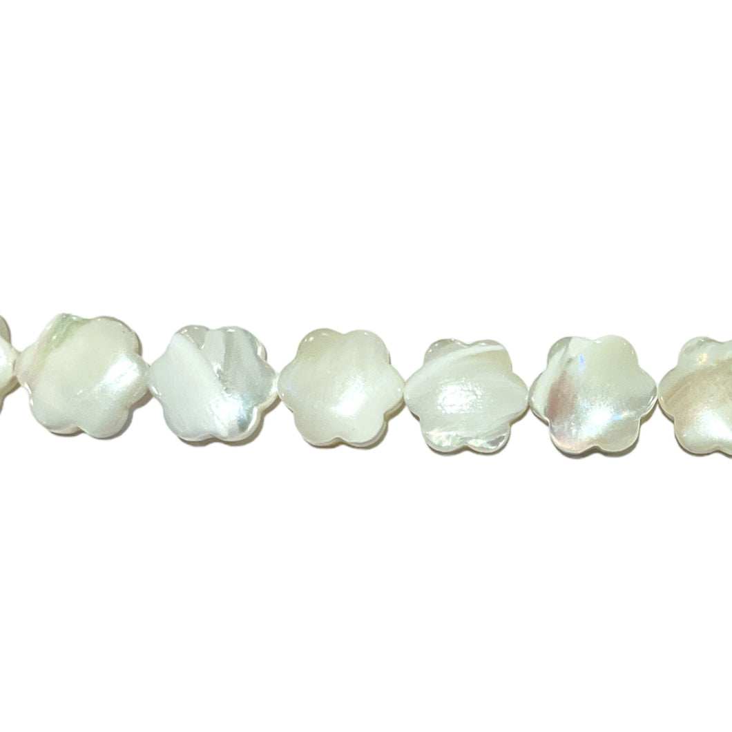 Fil de fleurs nacre blanche 12 mm