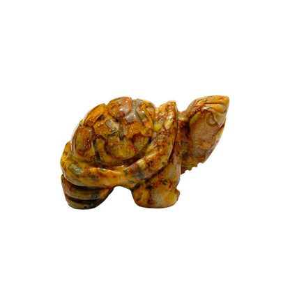 Figurine Tortue en Agate crazy taille moyenne