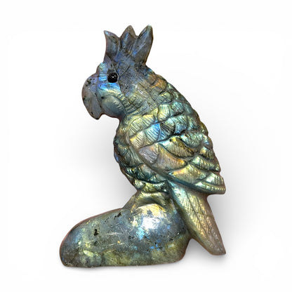 Figurine Perroquet en Labradorite AA+ 7x5 cm (modèle unique nº2)