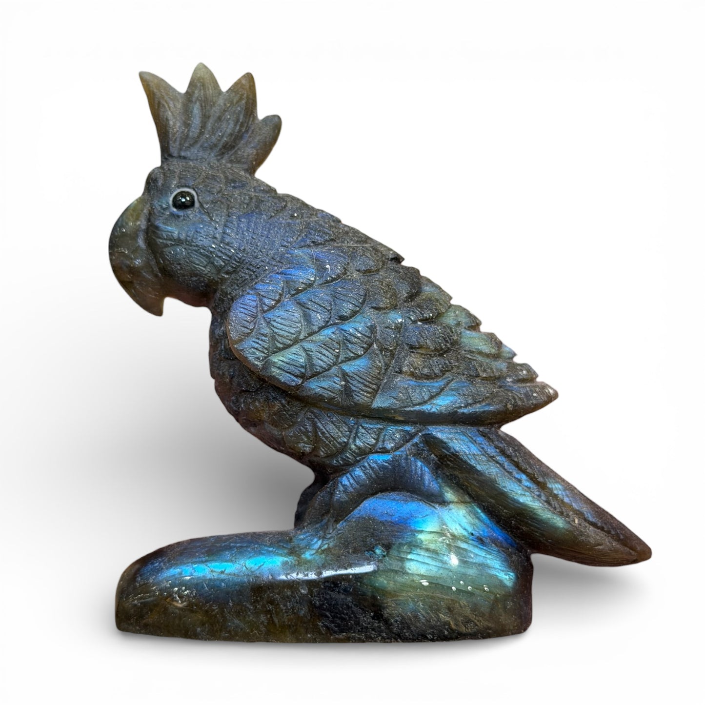 Figurine Perroquet en Labradorite AA+ 7.5x5.5 cm (modèle unique nº4)
