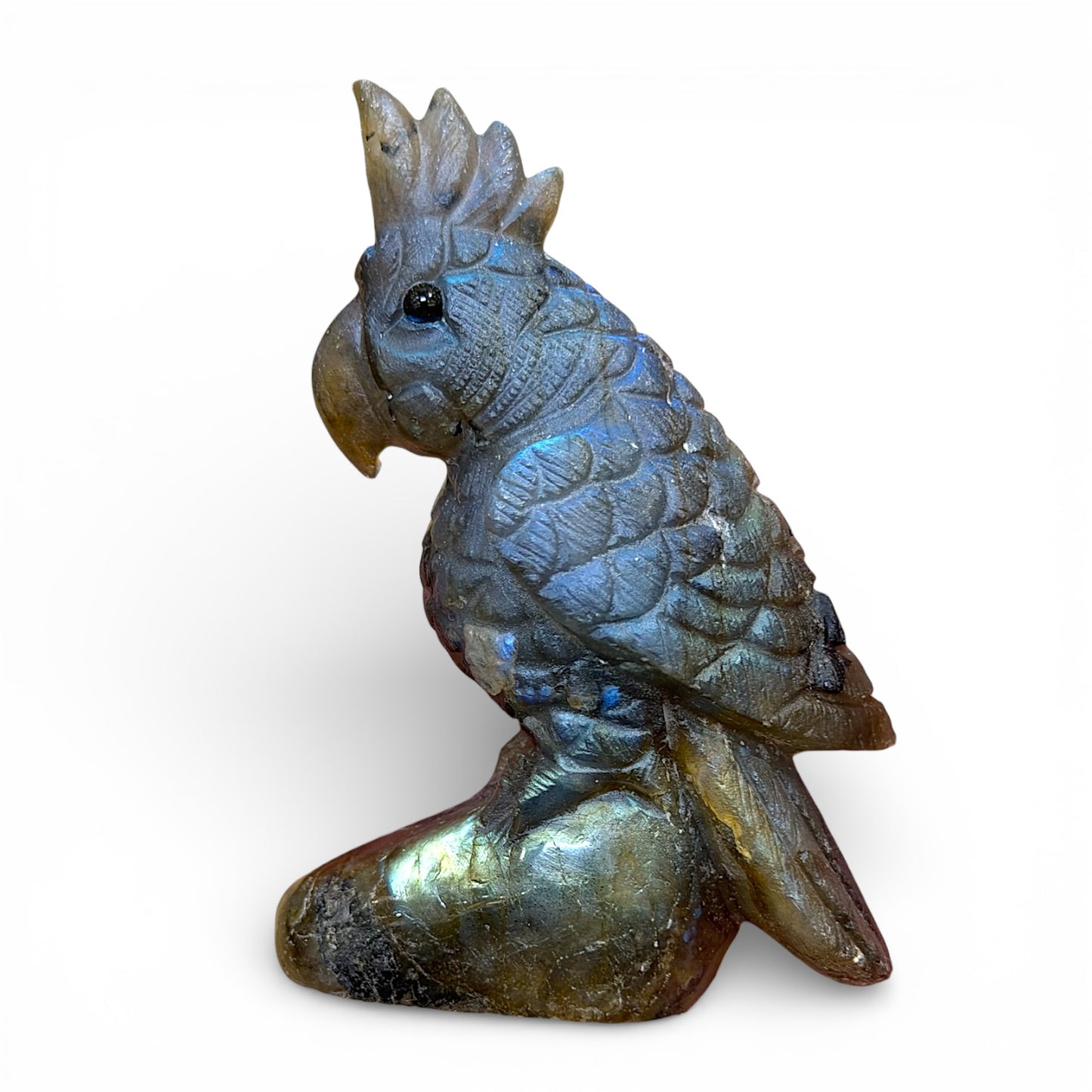 Figurine Perroquet en Labradorite AA+ 7.5x5.5 cm (modèle unique nº5)