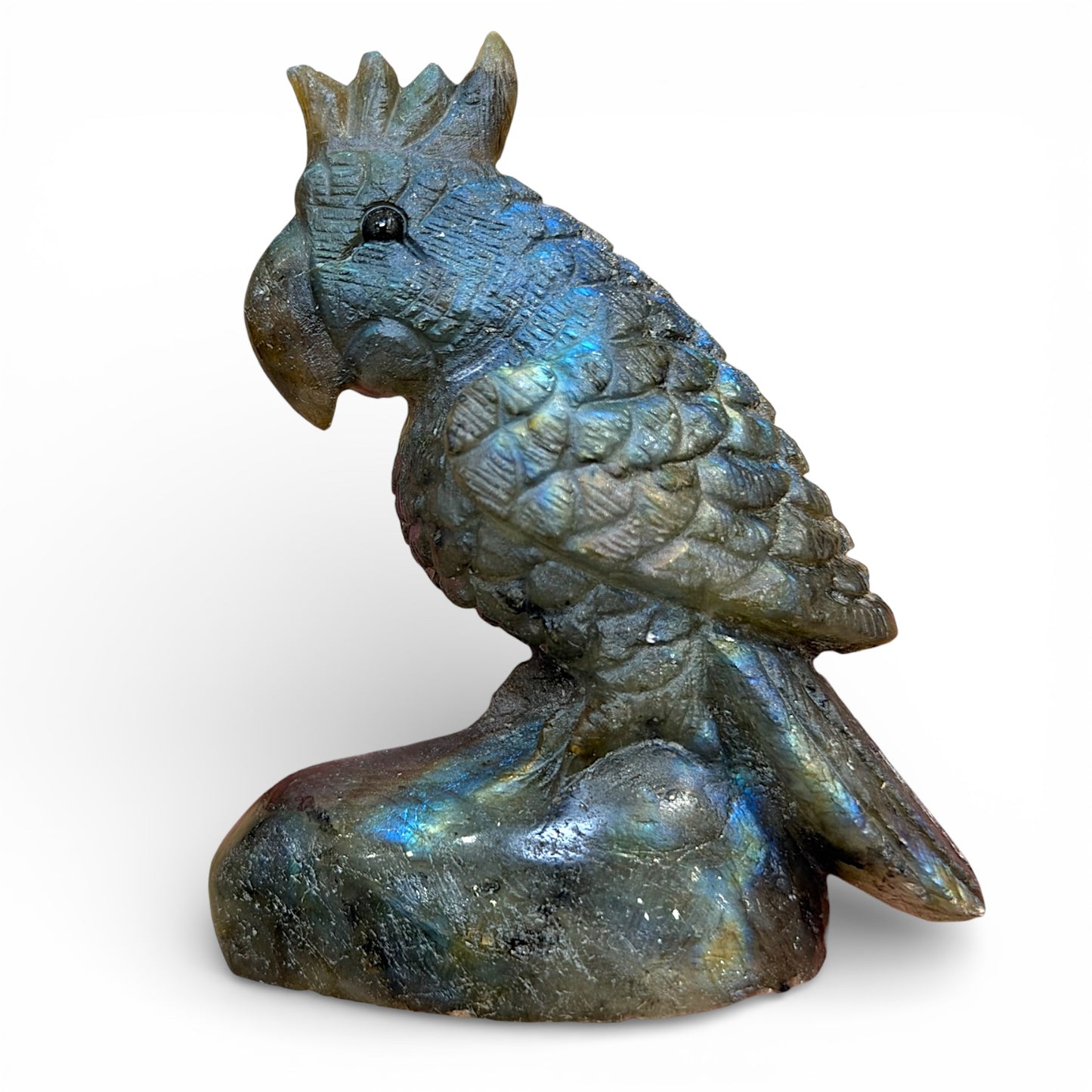 Figurine Perroquet en Labradorite AA+ 7.5x5.5 cm (modèle unique nº6)