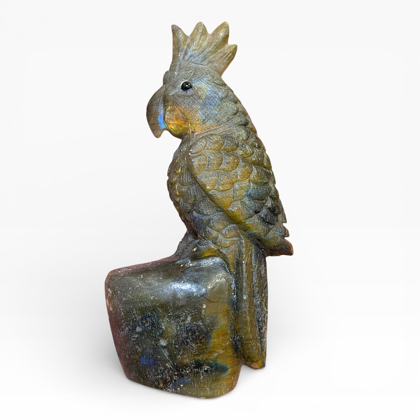 Figurine Perroquet en Labradorite AA+ (deux côtés bleutées) 11x5.5 cm (modèle unique nº8)