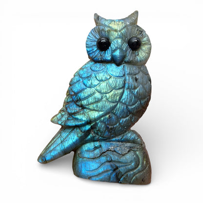 Figurine Hibou en Labradorite AA+ 7x5.5cm (modèle unique nº35)
