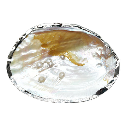 Coquille d'huitre perlière avec ornement doré ou argenté