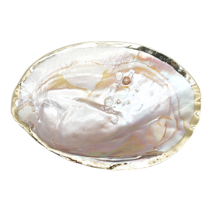 Coquille d'huitre perlière avec ornement doré ou argenté