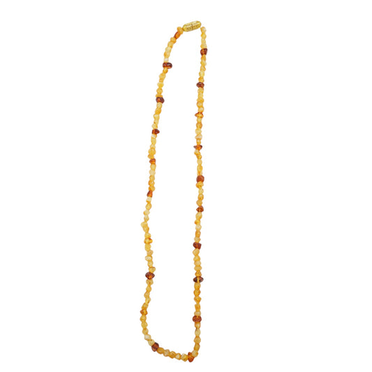 Collier Ambre pour adulte (Reference 4)