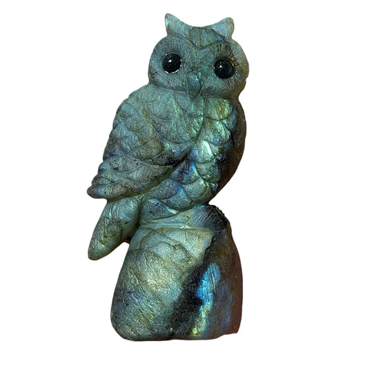 Figurine Hibou en Labradorite AA+ 7x4 cm (modèle unique nº3)