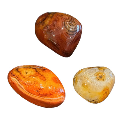 Galet Agate botswana A 30-40mm