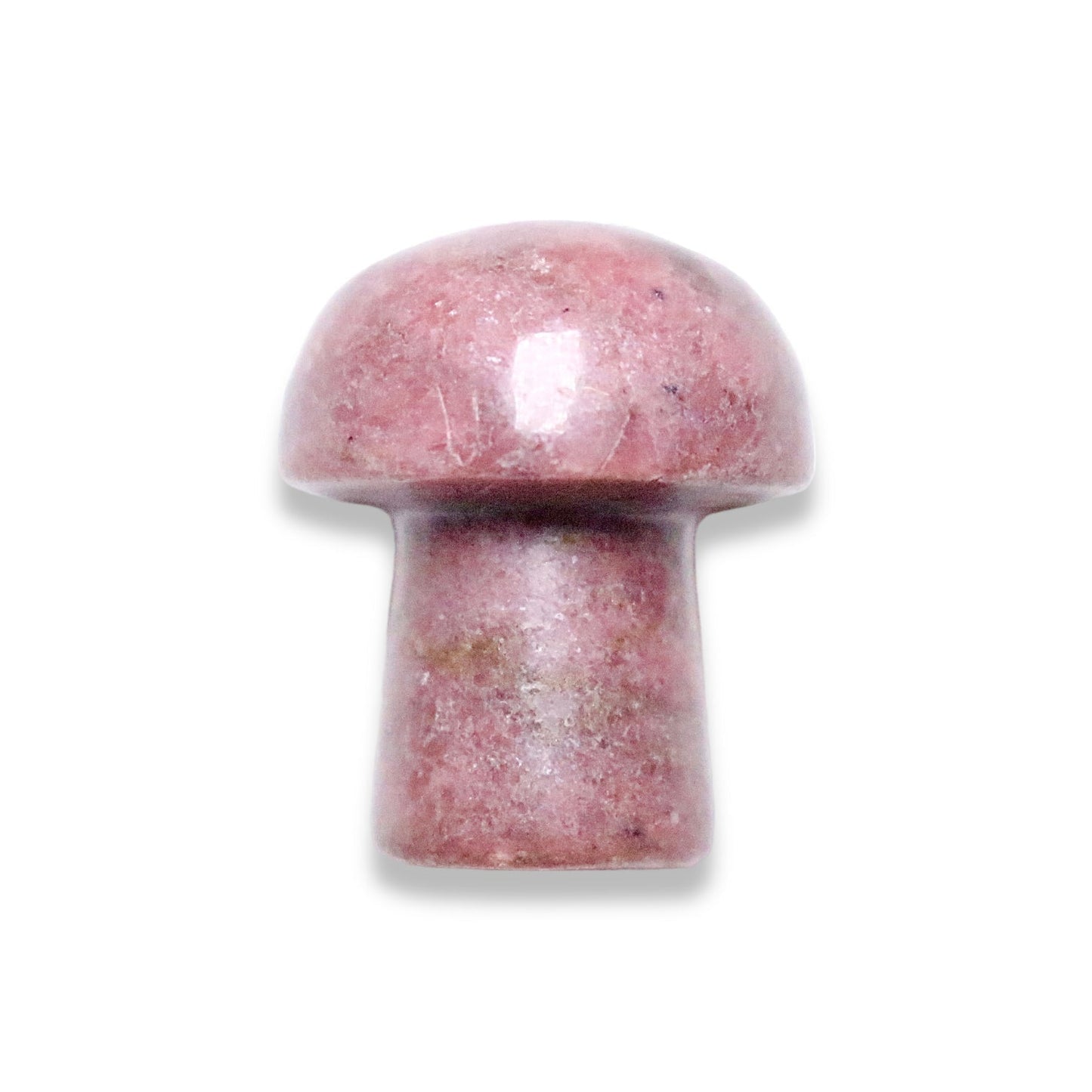 Champignon Rhodonite à l'unité