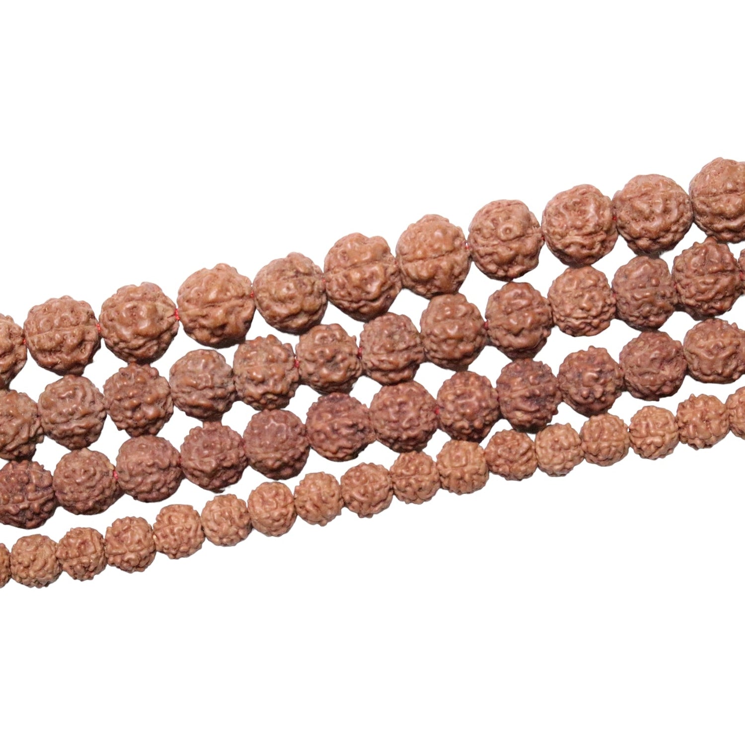 Fil de perle Graine de Shiva A - Foliesbijoux