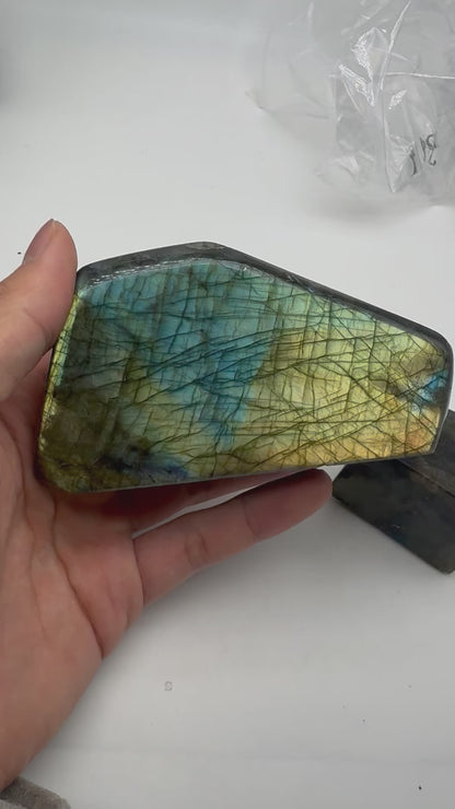 Labradorite forme libre AA+ 589g (Lot 21)