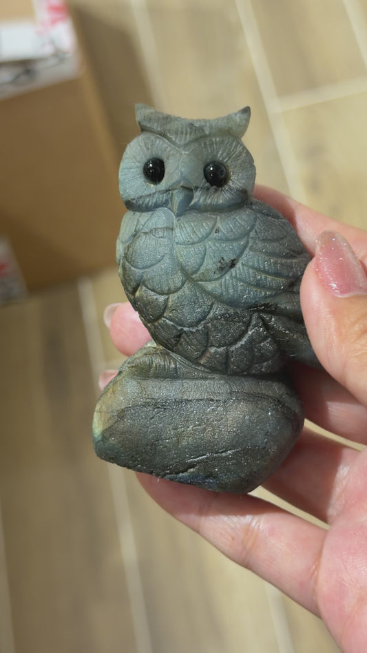 Figurine Hibou en Labradorite AA+ 8x6 cm (modèle unique nº8)