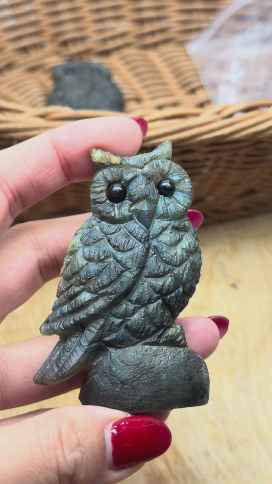 Figurine Hibou en Labradorite AA+ 7x4 cm (modèle unique nº11)