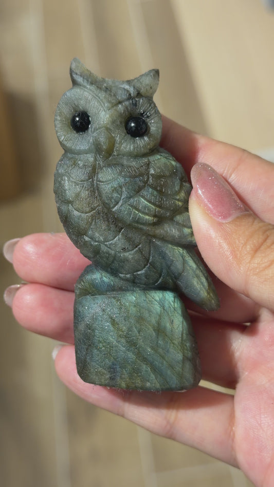 Figurine Hibou en Labradorite AA+ 8x4 cm (modèle unique nº9)