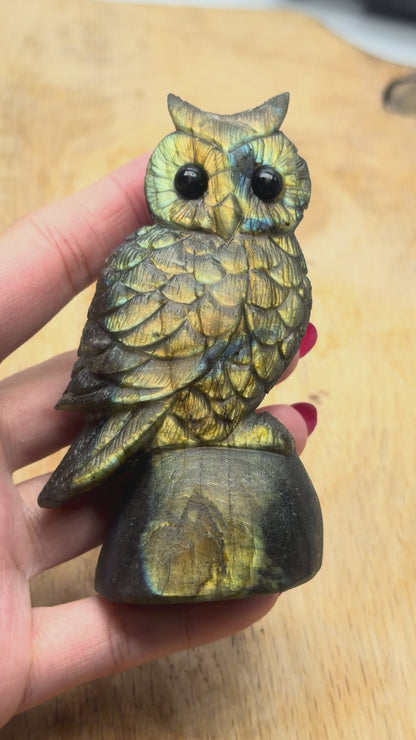 Figurine Hibou en Labradorite AA+ 10x5 cm (modèle unique nº14)